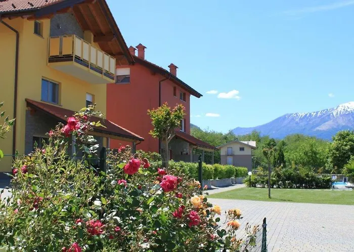 Rose Gialla Pastella Terrassen Og