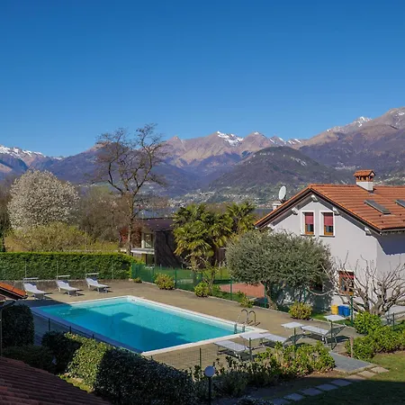 Rose Gialla Pastella Terrassen Og * Colico