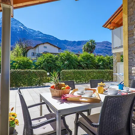 Rose Gialla Pastella Terrassen Og