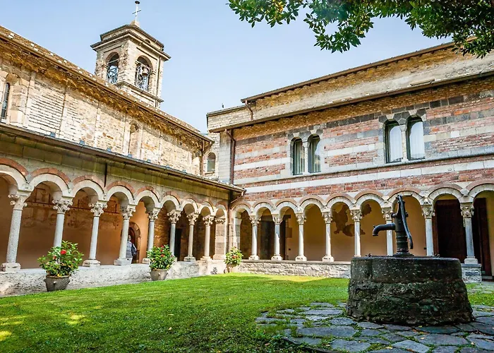 Rose Gialla Pastella Terrassen Og